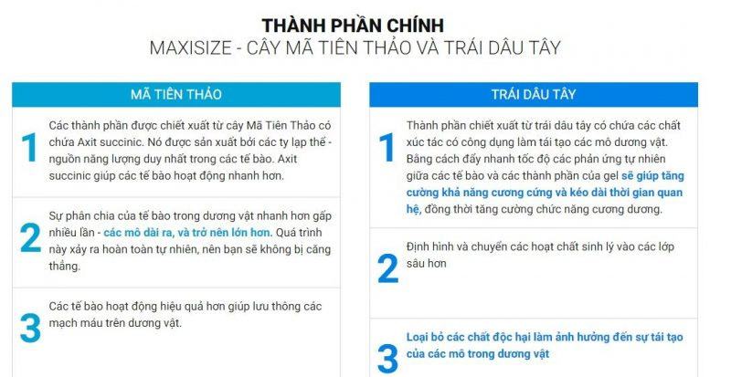 Thành phần và công dụng của maxisize